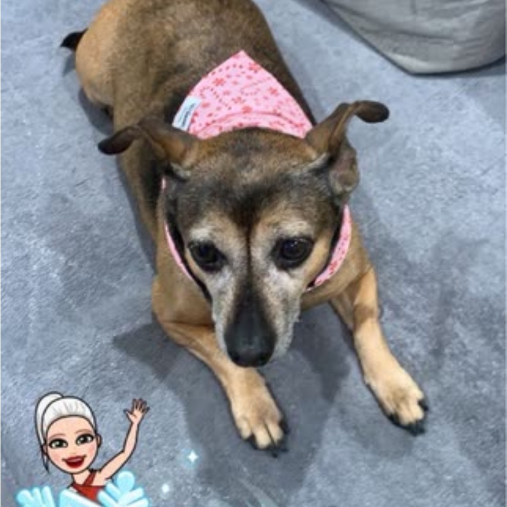 Live Listing, Like Me And Share, You’ll Be Notified When I Go Live, Stay Blessed - Picture 6 of 11